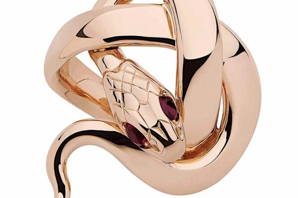 Snakes on a Gift List 14sp gifts snake inyt facebookJumbo