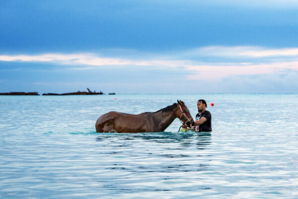 16Hours Barbados lqkm facebookJumbo v3