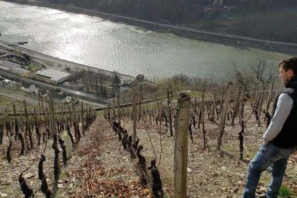 A Surprise From Germany: Chardonnay 27pour1 qzgh facebookJumbo